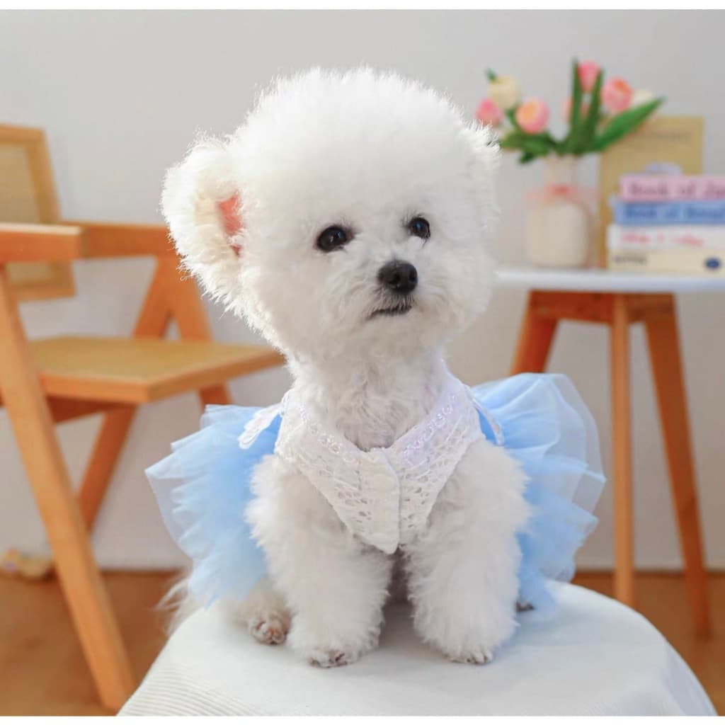 Vestido Princesa para Cachorro Pequeno com Saia de Tule – Roupa Pet Elegante para Cães