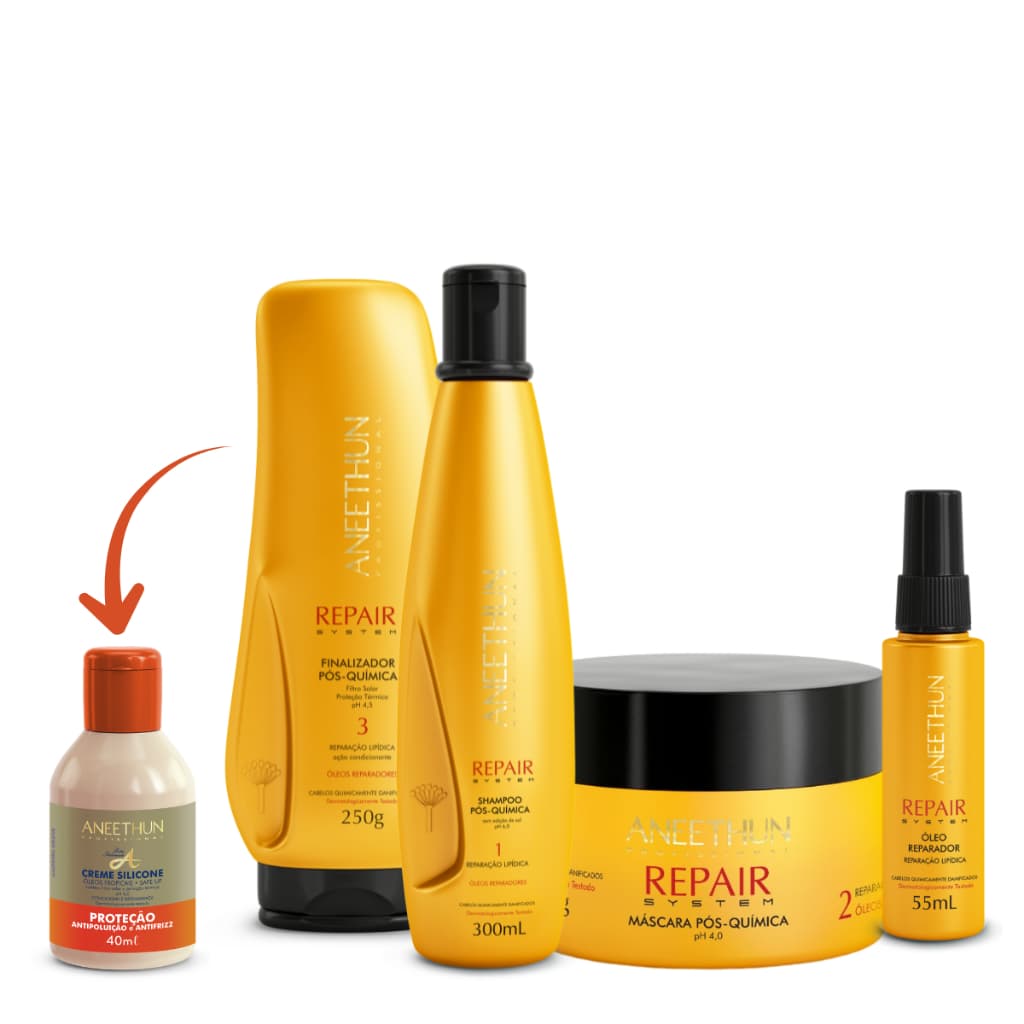 Kit Aneethun Pós-química Nutrição Profunda com Óleo Reparador de Pontas Repair System com 4 Produtos