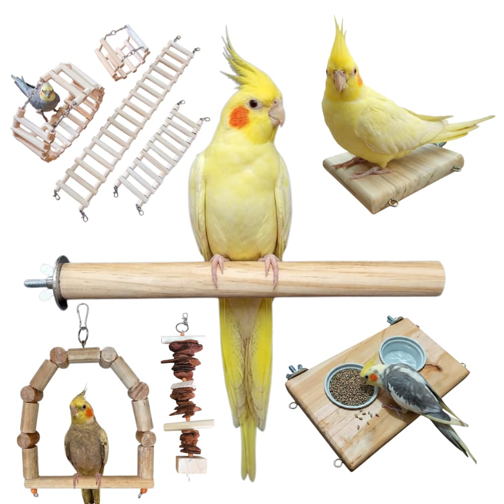 Brinquedos para Gaiola/Aves/Calopsita/Agapornis/Canário/Periquito/Escada/Ponte/Balanço/Poleiro/Plataforma/Comedouro