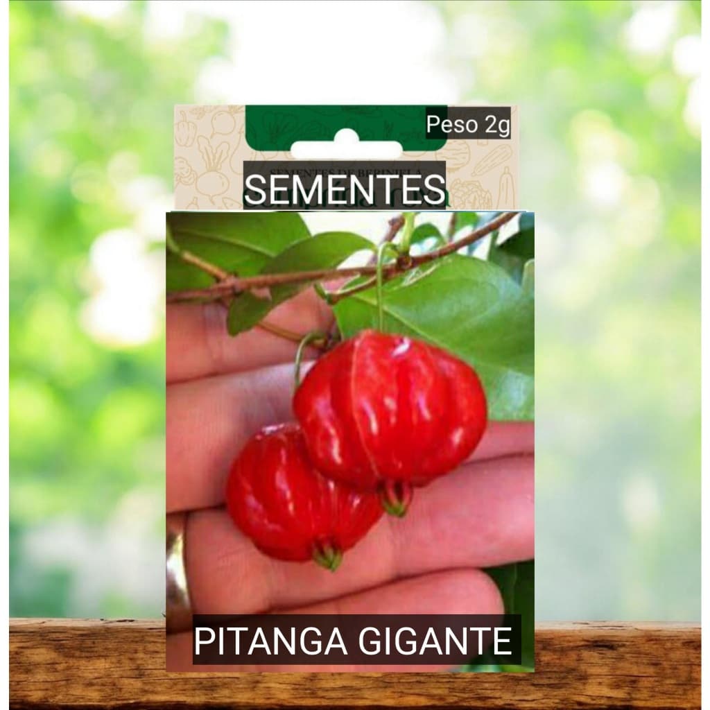 Sementes PITANGA Pitangueira GIGANTE doce plante Horta vaso OFERTA#2