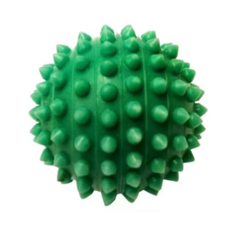 Bola Brinquedo Mordedor Para Cães Bolinha Cravo Mordedor Vinil Para Cães Gatos Pet ou Massagem