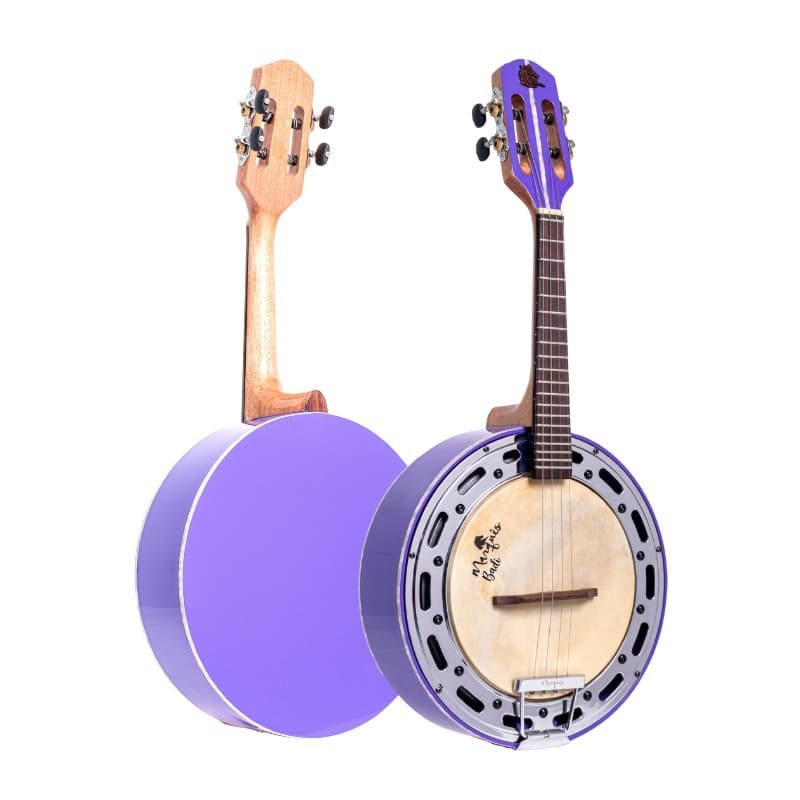 Banjo Roxo Eletrico LANCAMNETO 2026