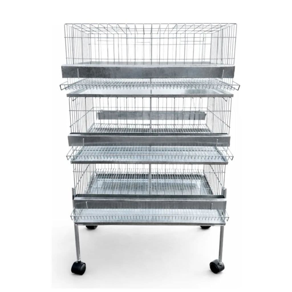 Kit 3 Viveiro Gaiola Codorna Base Rodinha Bateria Até 60 Aves com Chapa Coletora