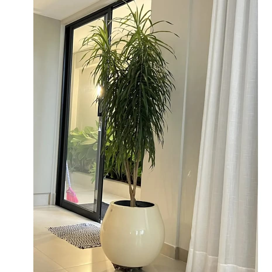 Vaso De Fibra De Vidro Dubai P 40cm Brilhantes e Foscos Decorativo