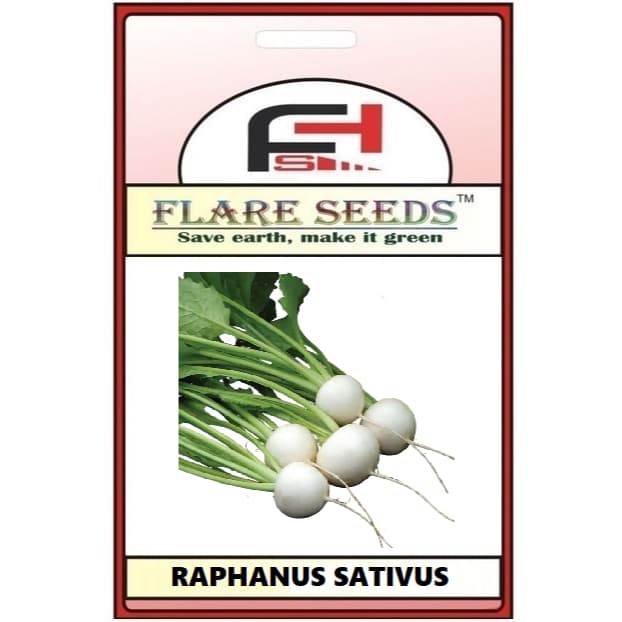 5 sementes de rabanete branco granizo