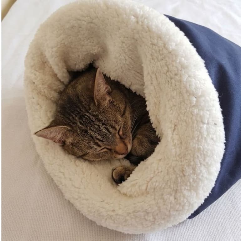Cama Toca Saco de dormir para Gatos Caminha Pet confortável Fofinha
