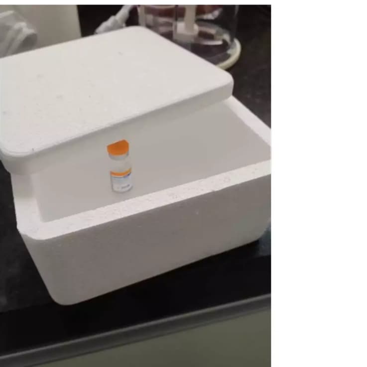 caixa térmica de isopor 250ml para armazenar insulina ou medicamentos