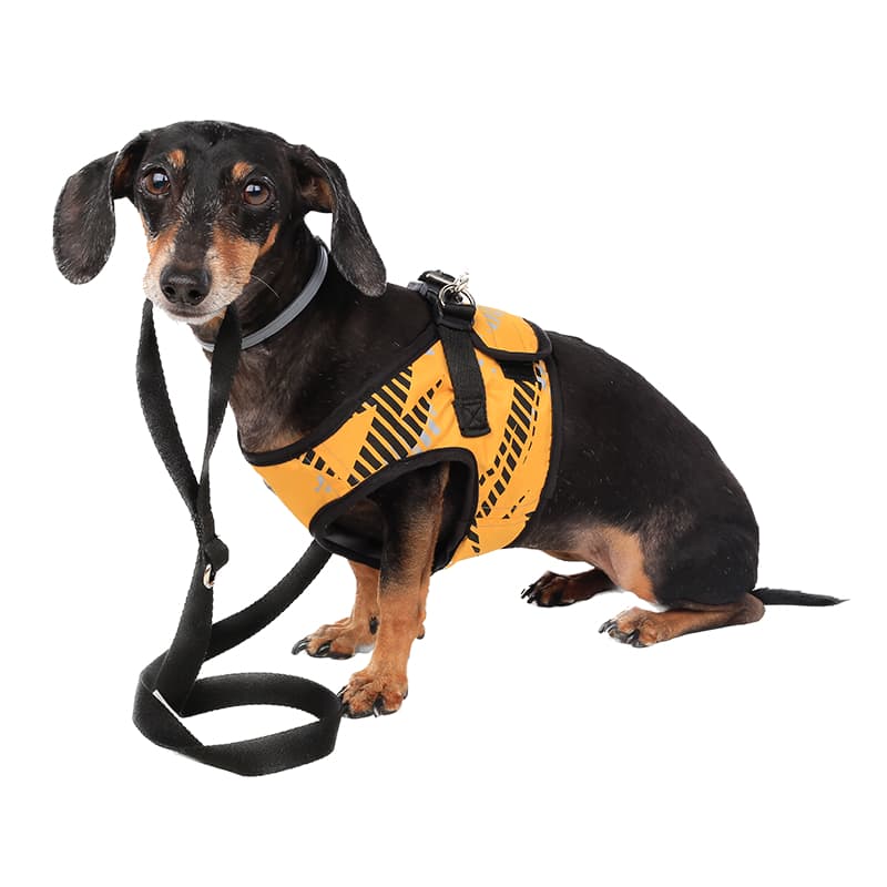 Peitoral para Cachorro Dog Lives Mostarda Emporium Distripet | Peitoral Pet para Passeio, Caminhada e Controle do Cão