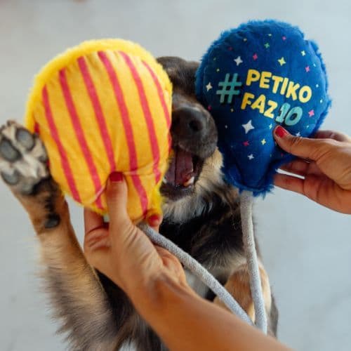 Brinquedo de Pelúcia Balão da Década para cachorro | Pelúcia com Corda e Apito - Petiko