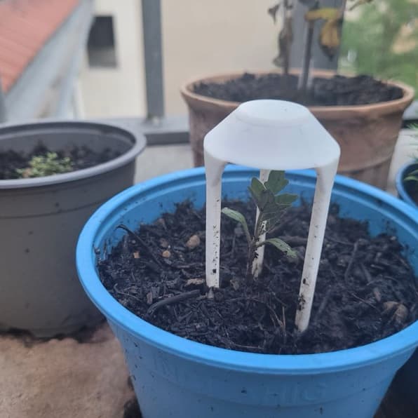 Protetor De Mudas Contra Chuva Forte Capa Para Plantas