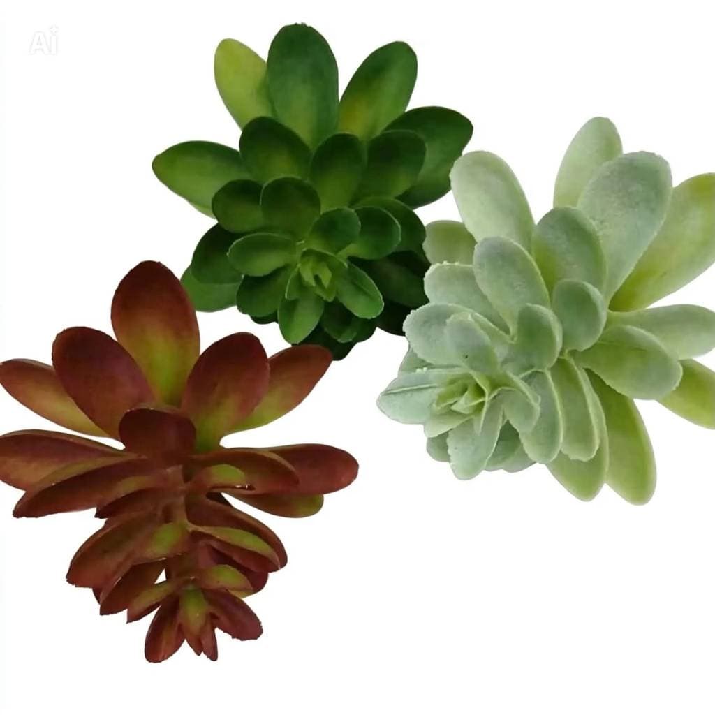 3 Mini Suculenta avulsa / solta artificial pequena