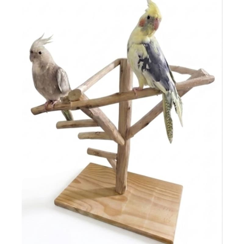 Poleiro Árvore Natural para Calopsitas, Agapornis e Periquitos | Playground de Madeira Artesanal para Aves
