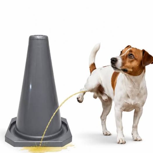 Postinho Cone Para - Fazer - Xixi - Cachorro - Educar Pet Cinza