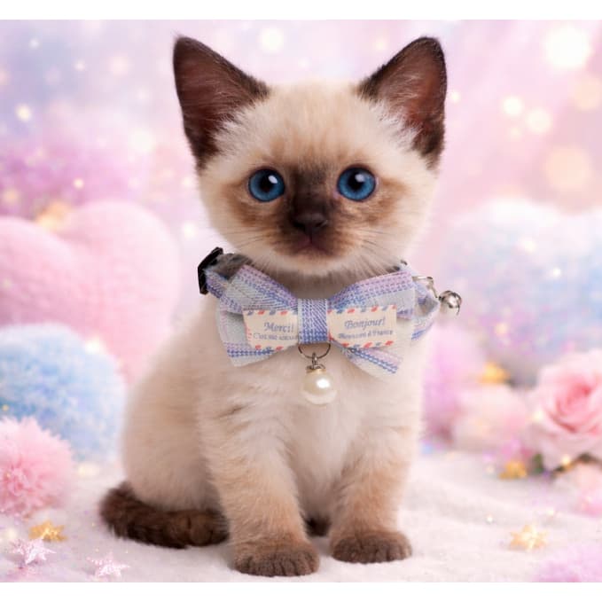 Coleira Pet com Laço e Pingente – Ajustável e Super Fofa (Cães e Gatos)
