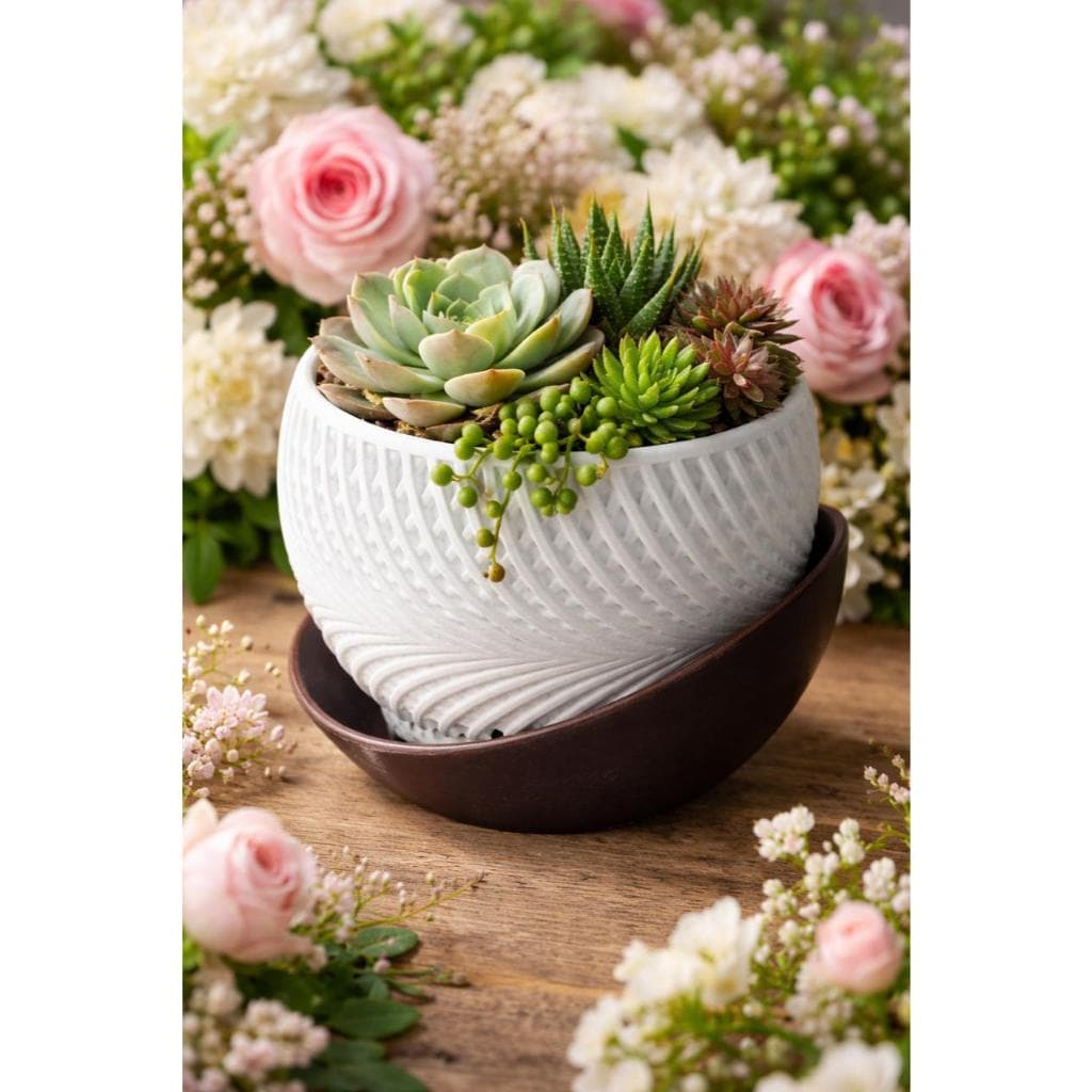 Vaso Drift Decorativo Moderno para Suculentas e Plantas | Design Elegante com Prato | Decoração Casa Jardim Mesa