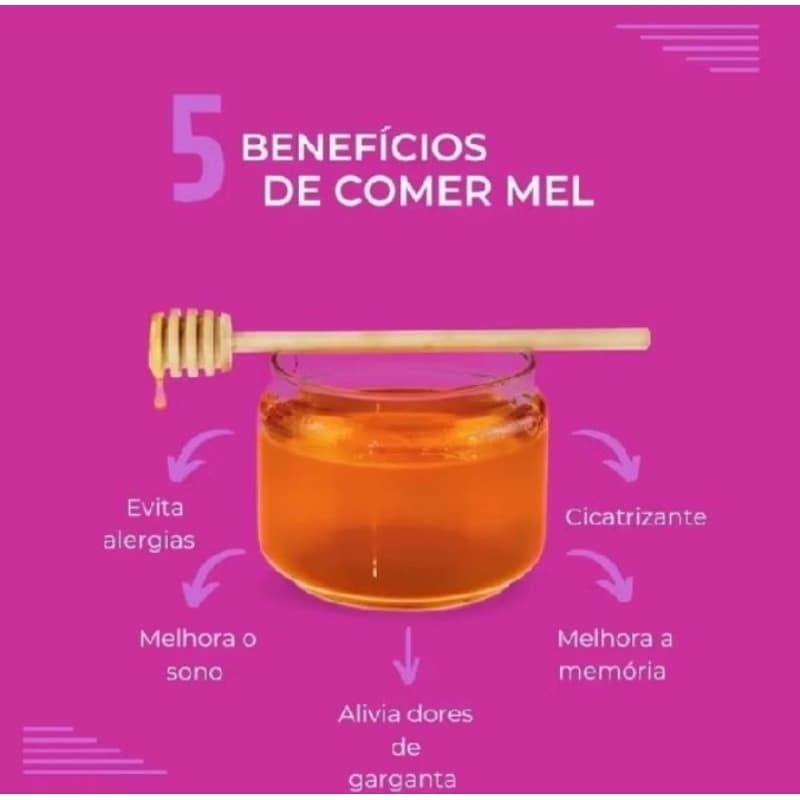 Mel Puro de Abelha Silvestre bisnaga 280g apicultura boa vista premium
