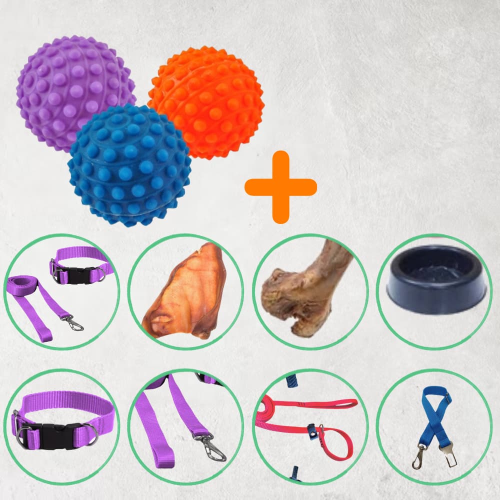 Kit 3 Bola Cravo Para Fisioterapia + Acessório Coleira Com Guia, Petisco Osso defumado, Comedouro, Cinto de Segurança