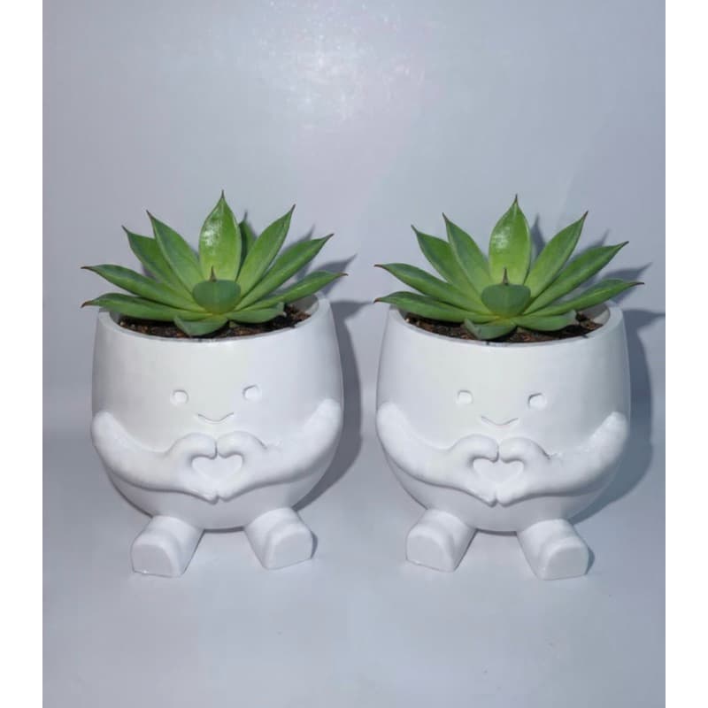 Kit dois vasinhos decorativos suculentas personalizado cut coração