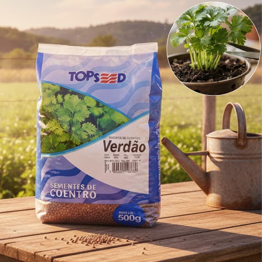 Sementes de Coentro Verdão 500g c/ aroma forte hortaliças - Topseed