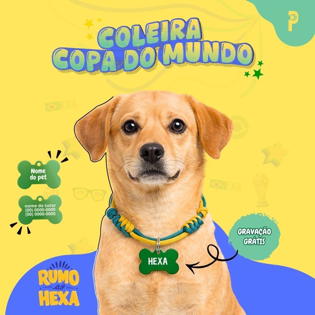 Coleira pet personalizada para cachorro com plaquinha de identificação copa do mundo Brasil
