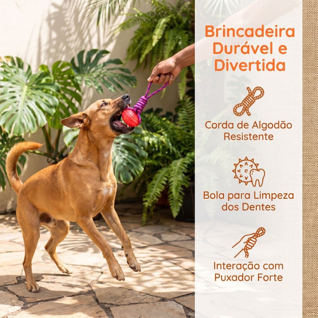 Corda com Bola de Borracha para Cães Pequeno/Médio, Brinquedo para Puxar e Buscar, Limpa os Dentes