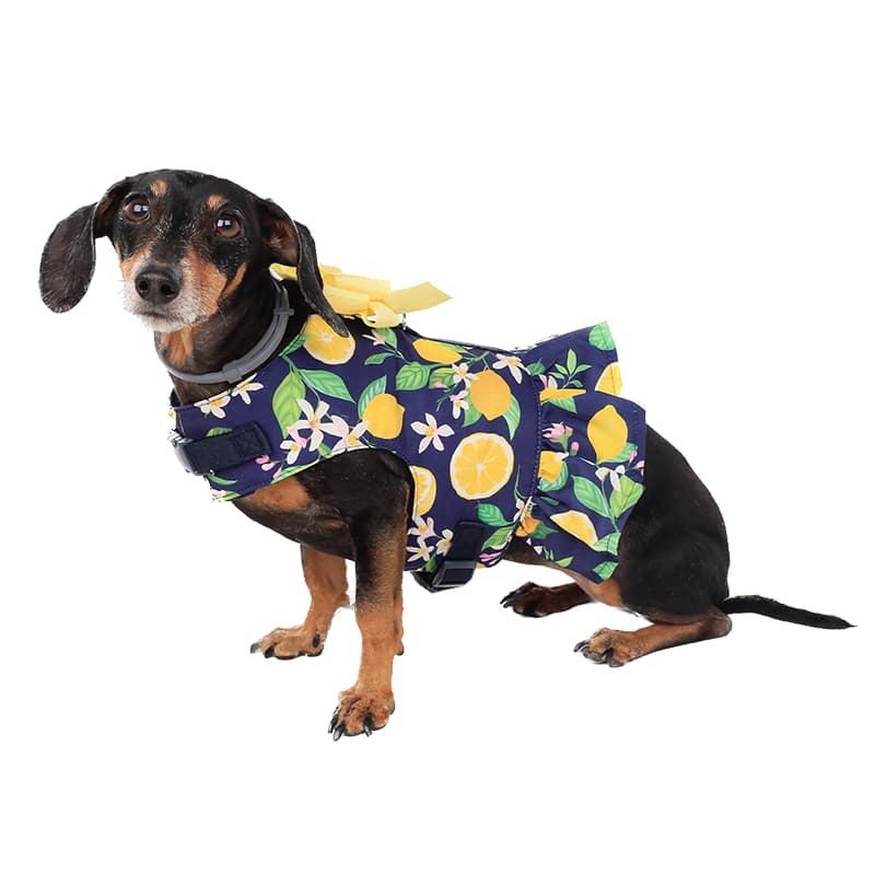 Peitoral para Cachorro Siciliano Emporium Distripet | Peitoral Pet para Passeio, Caminhada e Controle do Cão