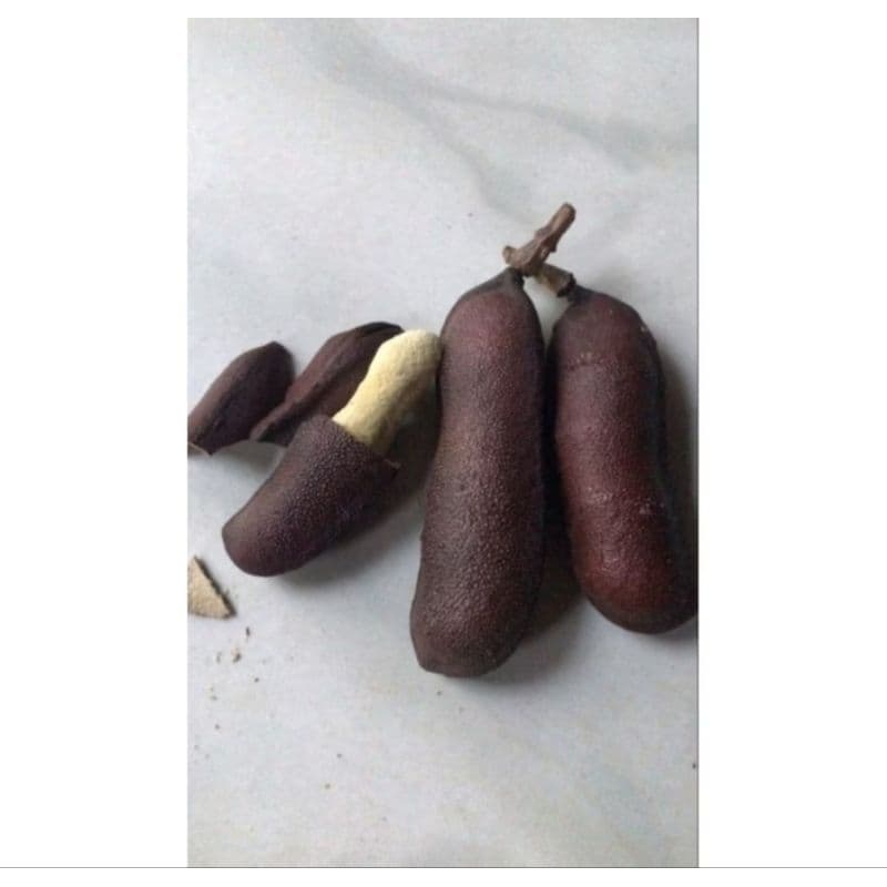 Jatobá Fruto 100% Natural do Norte de Minas Gerais 700g