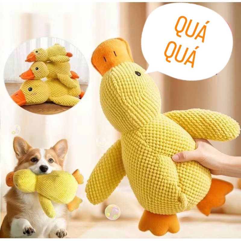 Brinquedo de Pelúcia Pato Ladrê para Cães; Brinquedo Dental e Urso de Pelúcia para Gastar Energia.