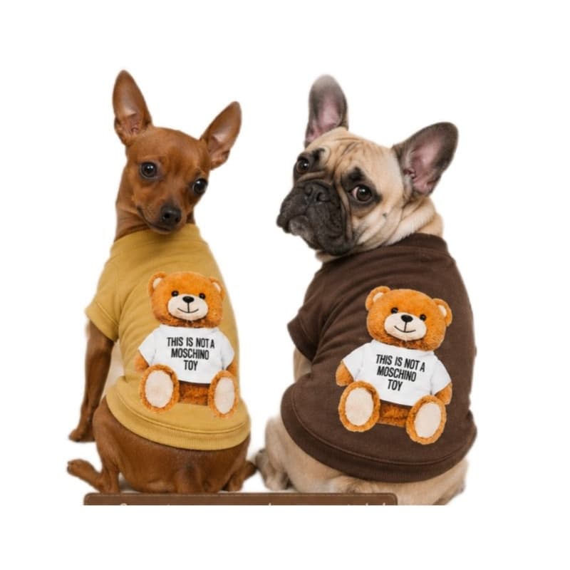 ROUPA DE CACHORRO E GATO URSINHO TEDDY ROUPA INVERNO COM LUGAR PARA GUIA ROUPA PET DE CACHORRO E GATOS BLUSA SUETER 2026