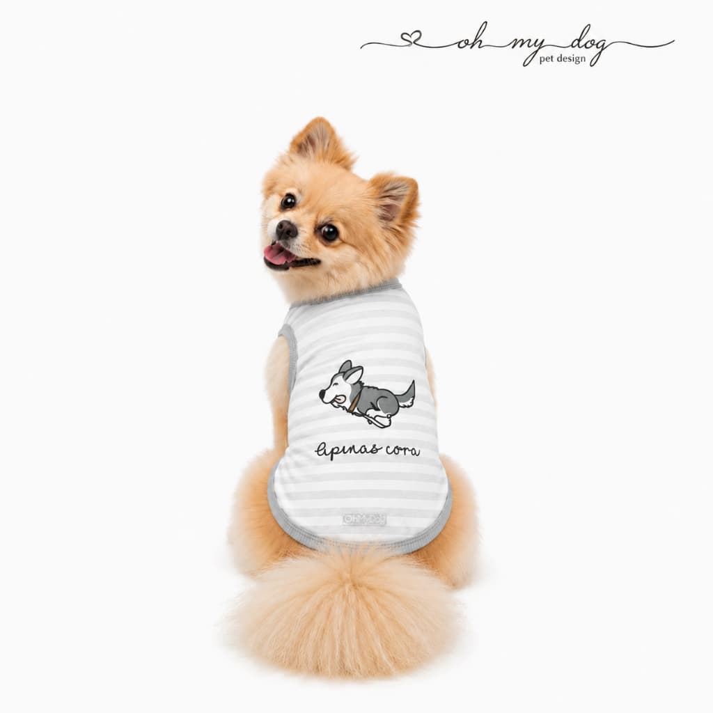 Roupa Para Cachorro Camiseta Pet Apenas Corra Malha Dry Confortável Estampada