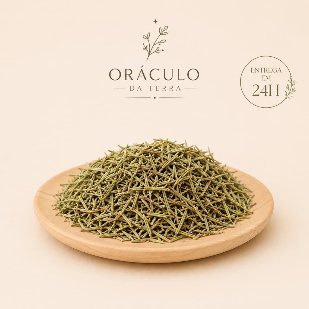 Alecrim , Banho de Ervas , Ervas Seca , Produtos Naturais 50g