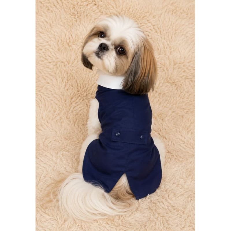 Roupa terno para pet Macho-Roupa pet noivo casamento, festa - Pet do porte pequeno ao grande para cão e gato