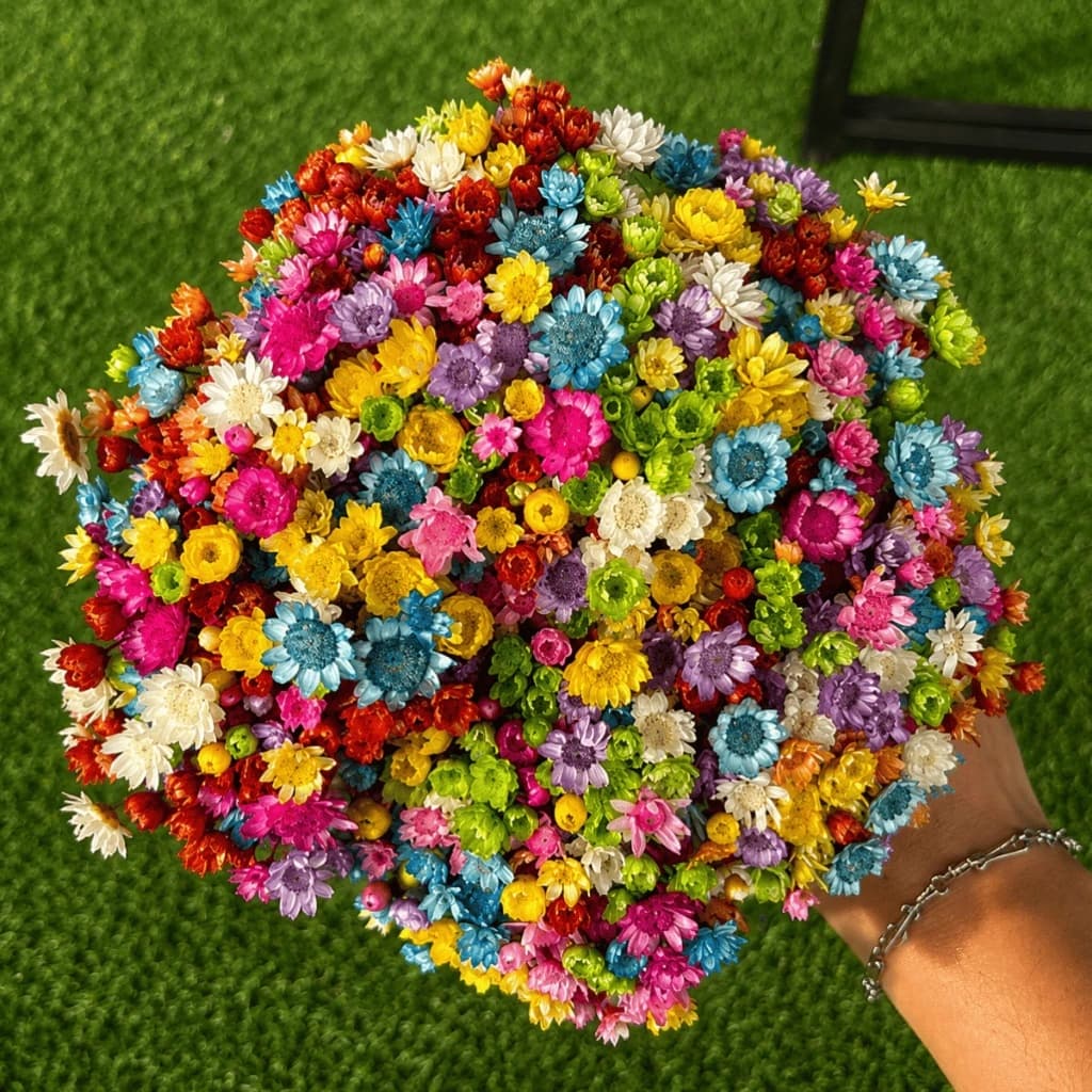 Flor Sempre Viva Colorida Desidratada Buquê Aprox 200 Flores Para Decoração Festa Arranjos Mesa Posta