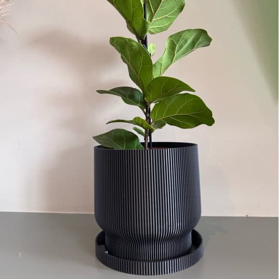 Vaso moderno com prato coletor
