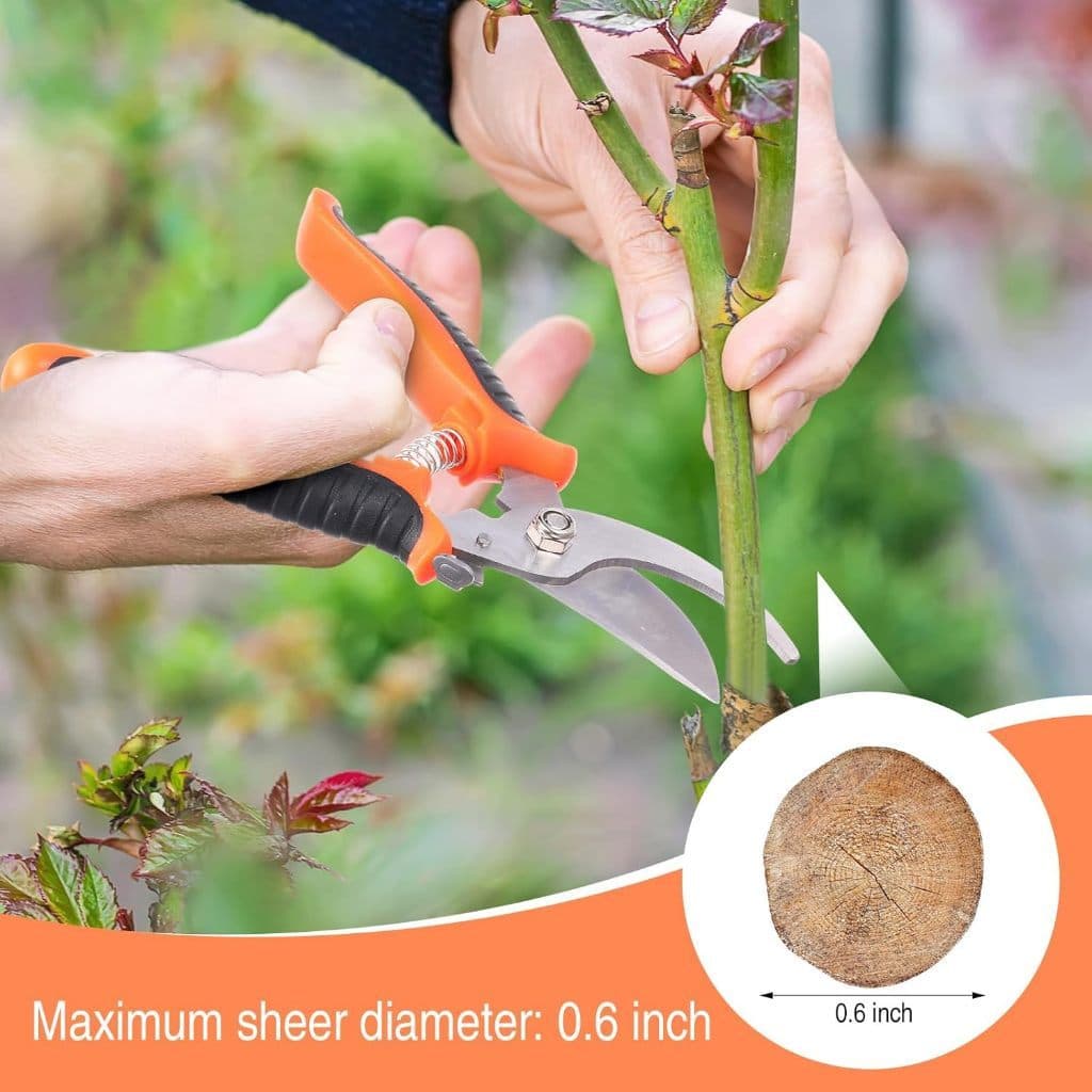 Tesoura de Poda Tesoura Super Afiada para Jardinagem