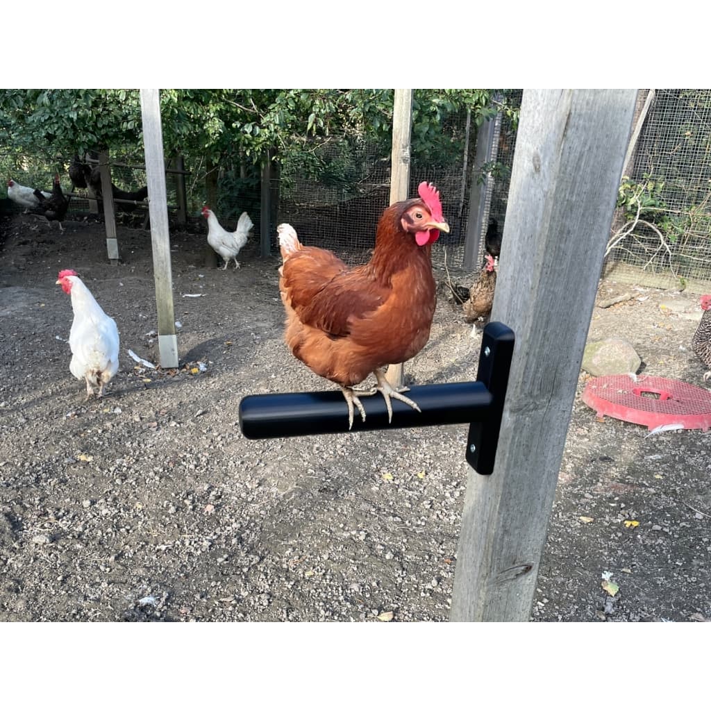 Poleiro de Galinheiro 18cm – Suporte de Descanso para Aves | Acessório para Galinheiro