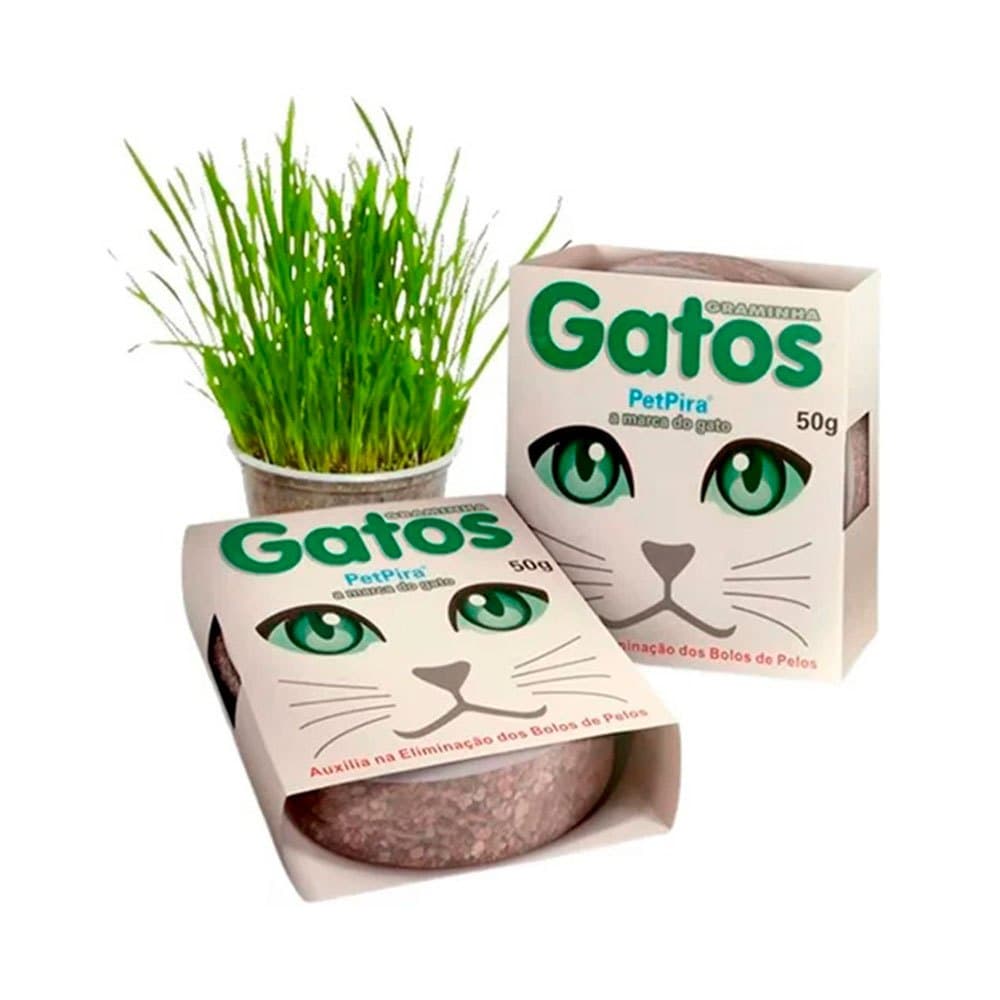 Kit 02 Graminha Gatos Grama Trato Bola Pelo Gato Petpira Sementes