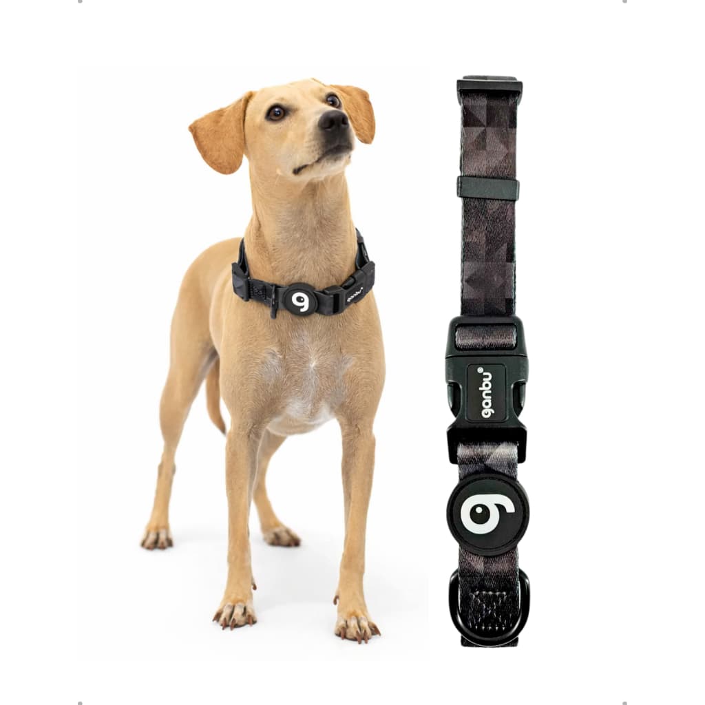 Coleira Paw Design Preto/Cinza Ganbu