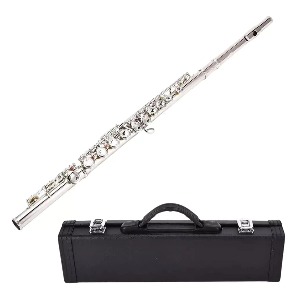 Flutes, Closed Hole C 16 Keys Flute Instrument, Student Flute for Beginner Advanced Player, with Cleaning Kit, Carry Bag