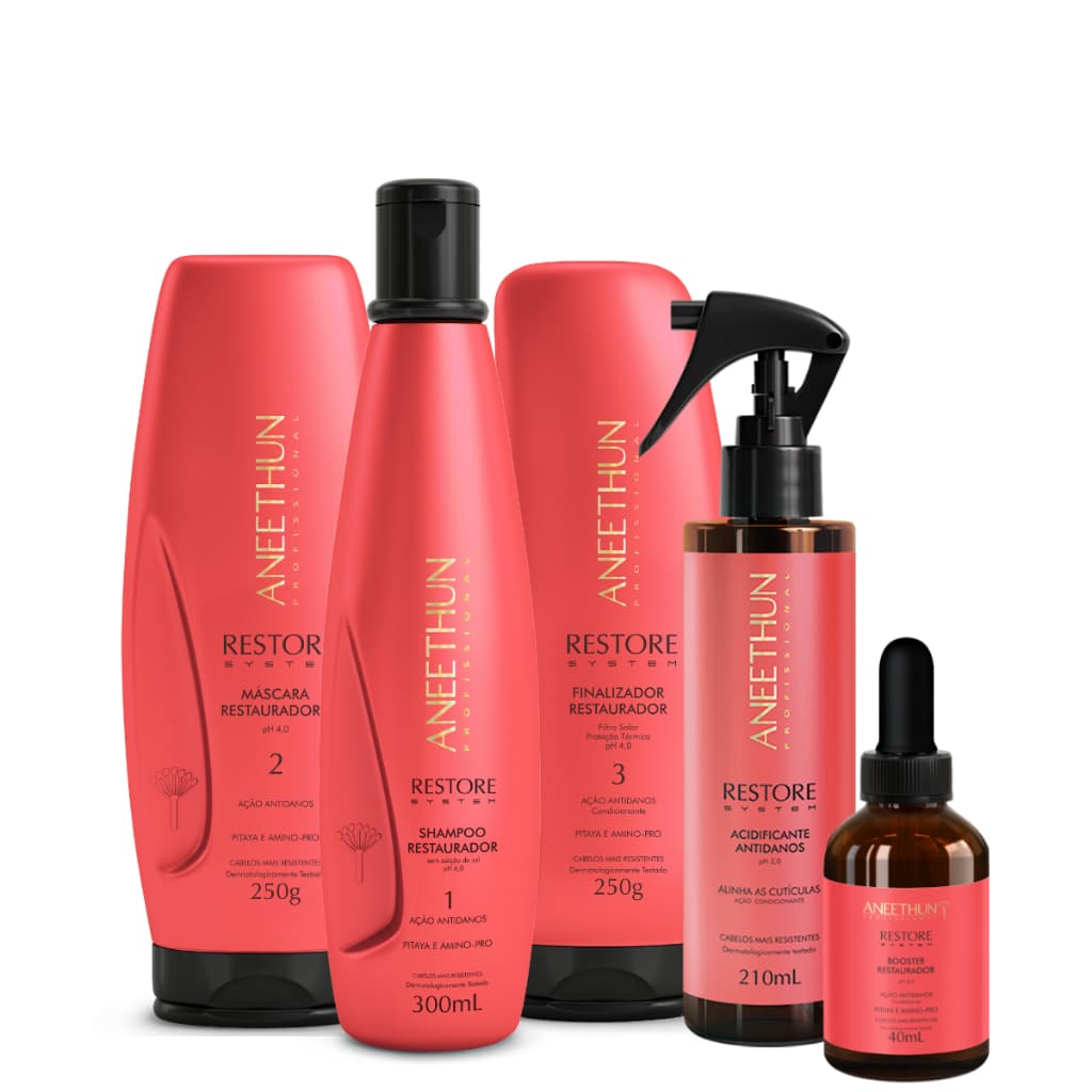 Kit Aneethun Restore System Antidanos Reconstrução Reposição de Massa com Acidificante 5 Produtos + Brinde