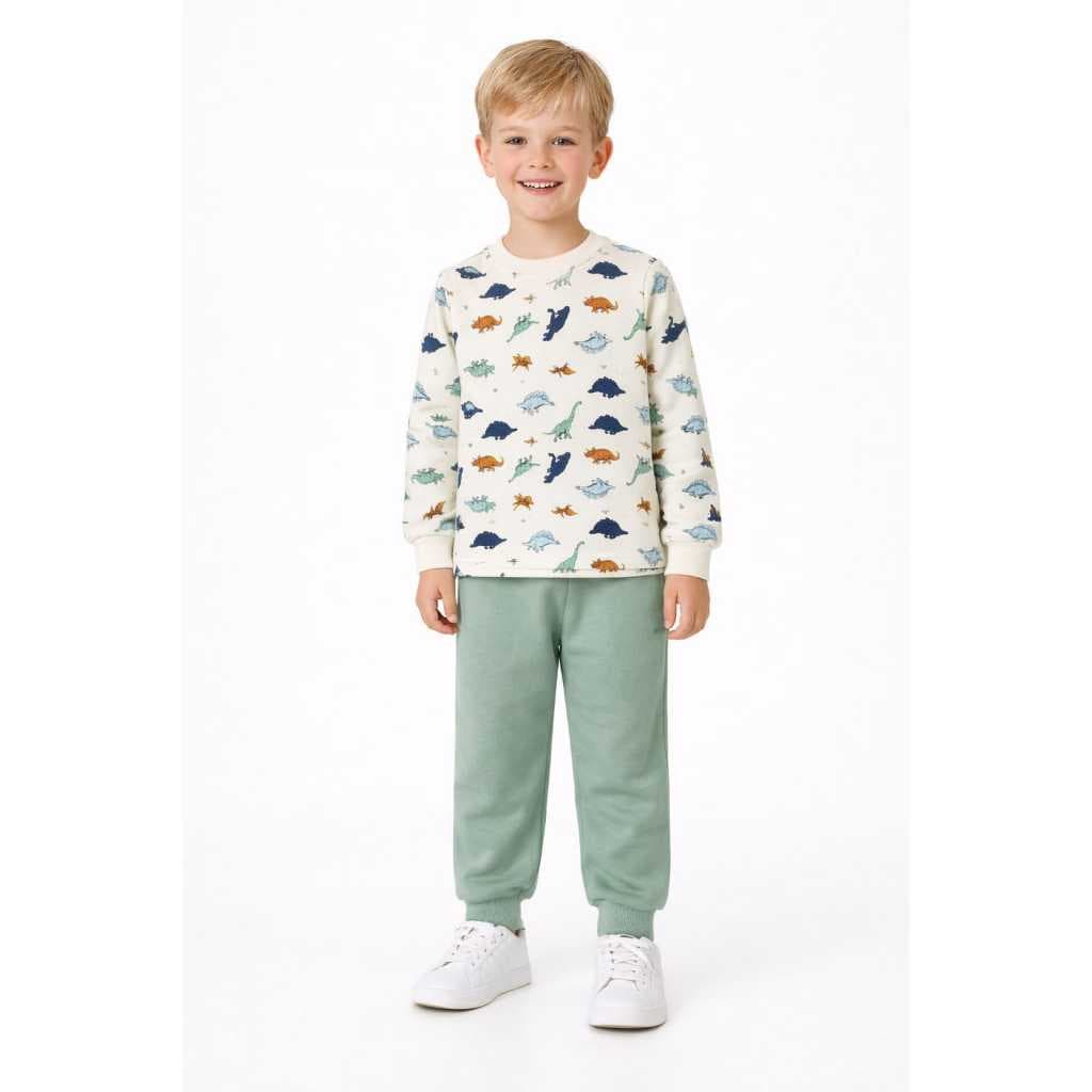 Conjunto Moletinho Flanelado Peluciado Quentinho Infantil Menino Menina