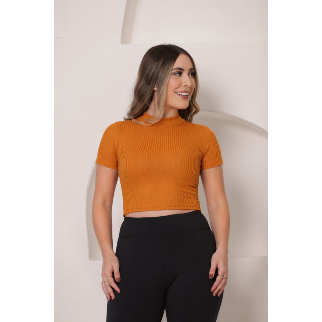 Blusinha Cropped Feminina Básica Canelado Premium Casual Moda Gringa  Manguinha Gola Alta Outono Verão
