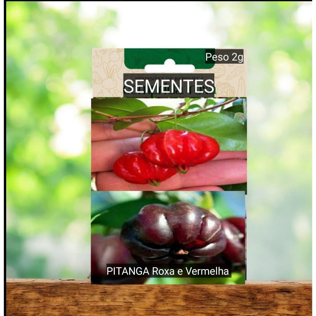 Sementes PITANGA GIGANTE ROXA plante vaso jardim horta