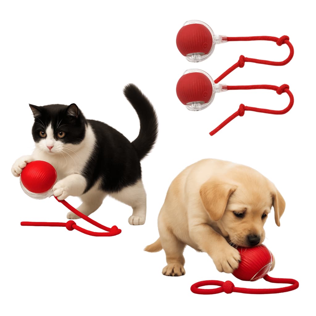 Bolinha Giratória Inteligente com Corda Interativa Brinquedo para Pet Recarregável Kit 2pçs