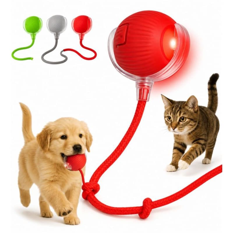 Kit brinquedo interativo 2 bolas elétrica automática usb para gatos e cães pequeno porte inteligente