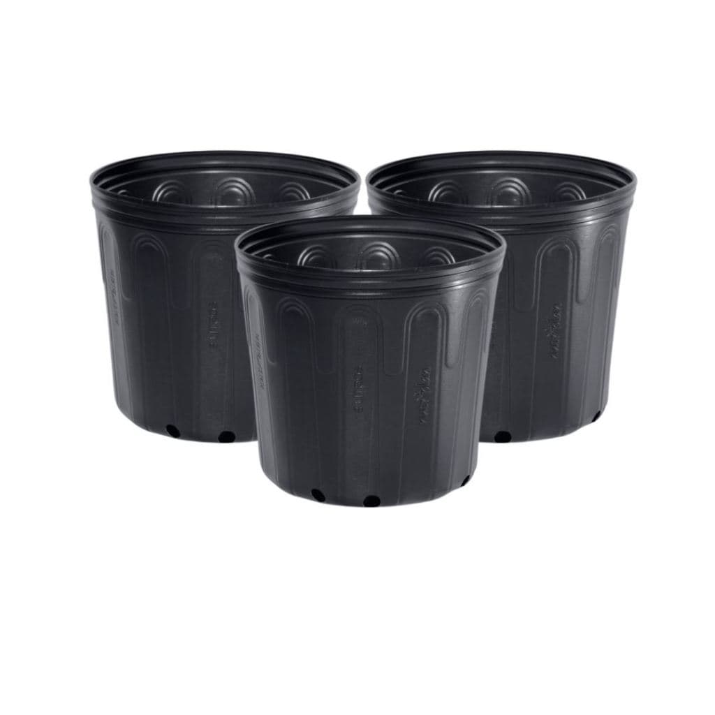 Kit Vasos Flexíveis Redondos 8 Litros p/ Cultivo Indoor - Vaso Redondo Resistente p/ Plantas Jardim Grow Estufa