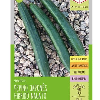Super Sementes de Pepino Japonês Híbrido Nagato plante vaso jardim