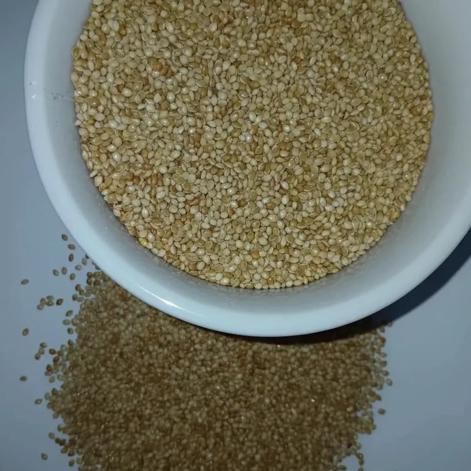 Painço Comum para Pássaros – Alimento Natural e Nutritivo-Passaro Nobre
