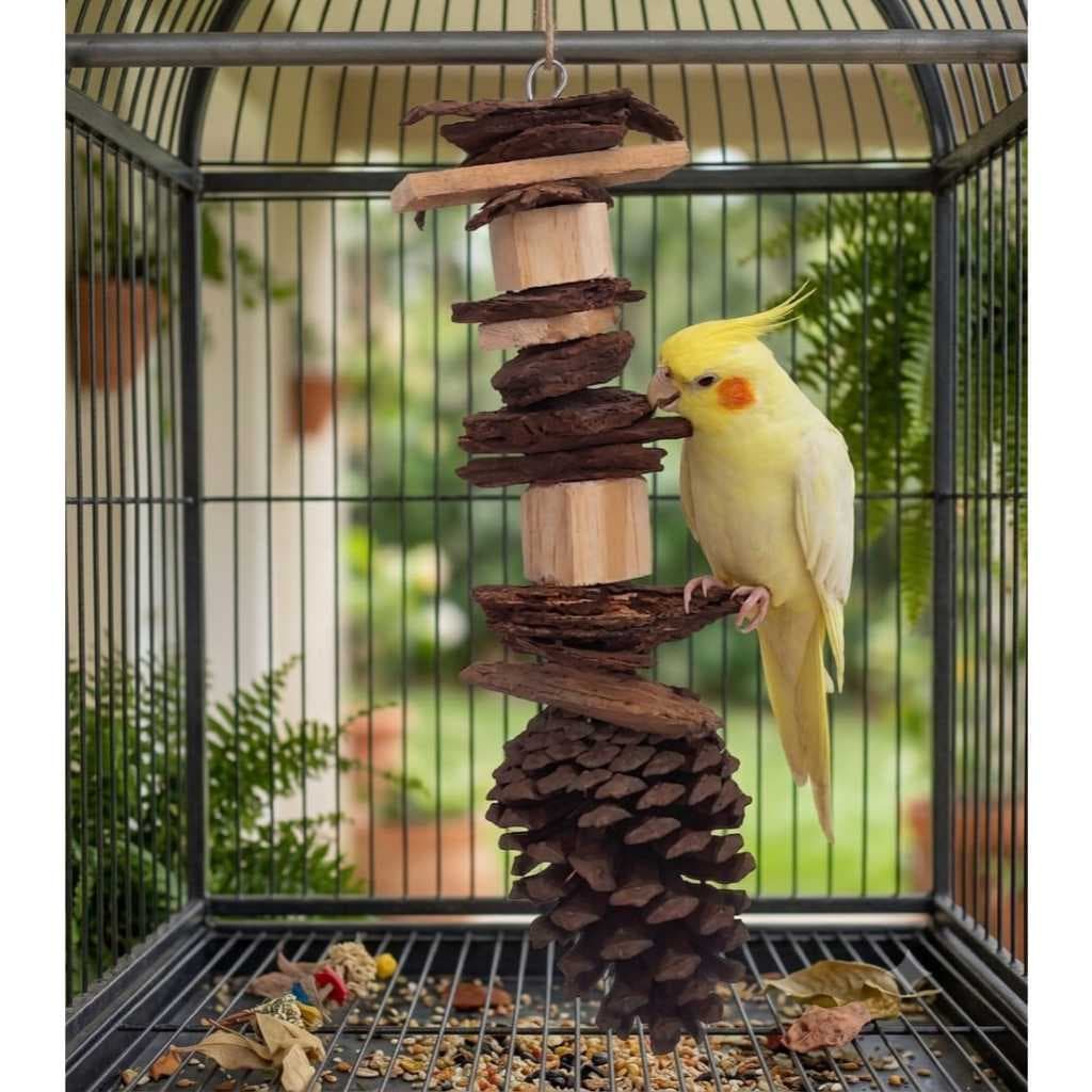 Brinquedos com pinha natural para aves, Calopsita, Agaporni, Periquito, Papagaio, Ring Nec