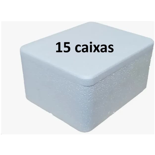 15 caixas de isopor 250ml